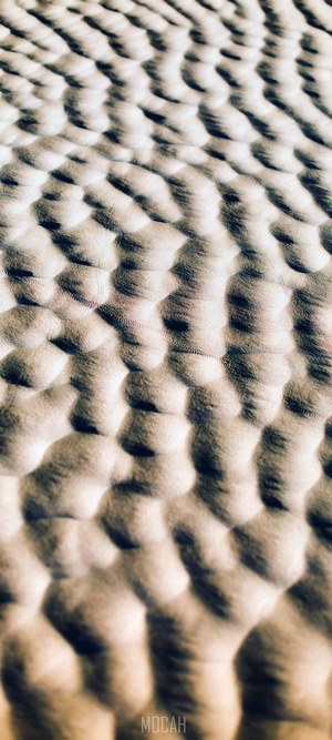 Sand texture with ripples and shadows