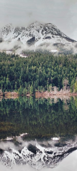 Snowy mountain reflected in a lake with pine forest