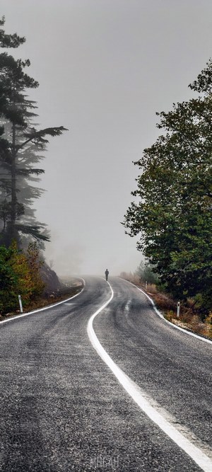 Person walking on a foggy road