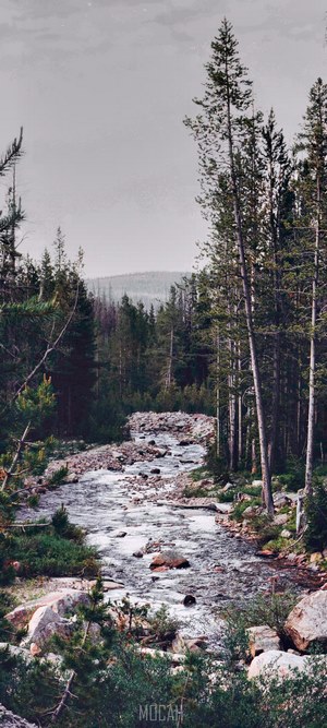 Forest river stream landscape Xiaomi Redmi Note 9 Pro Max
