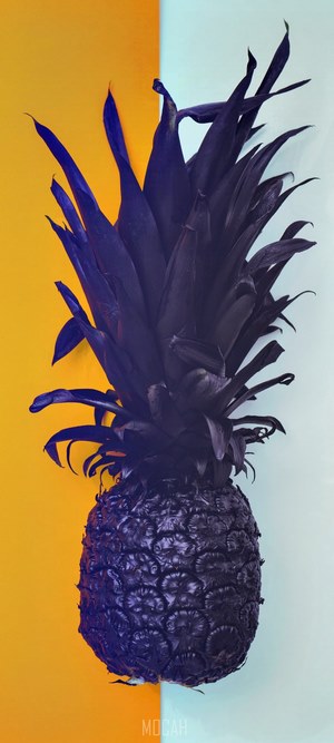 Dark purple pineapple on yellow and blue background