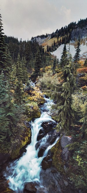 Waterfall flowing through a forest with mountains