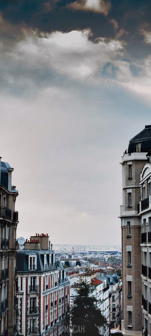 Parisian apartment buildings overlooking cityscape