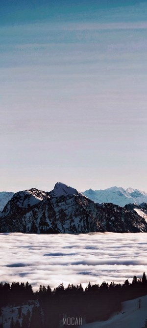 Snowy mountains above clouds and forest