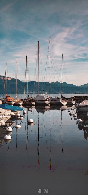 Sailboats docked in a harbor with mountains in the background