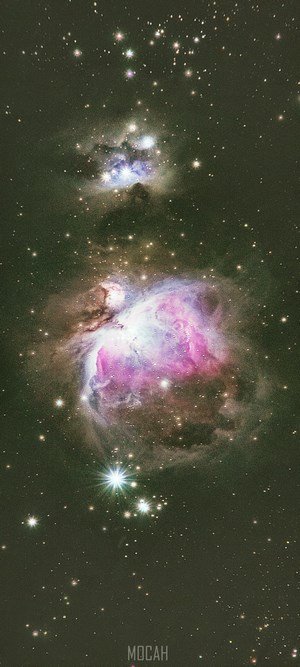 Orion Nebula and surrounding stars