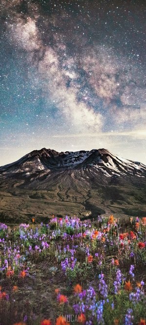 Milky Way over Mount Saint Helens with wildflowers