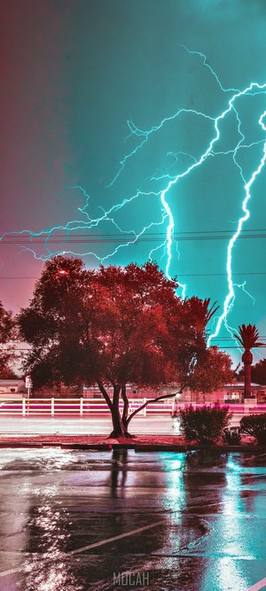 Vivid Lightning Strike Over Trees During Thunderstorm