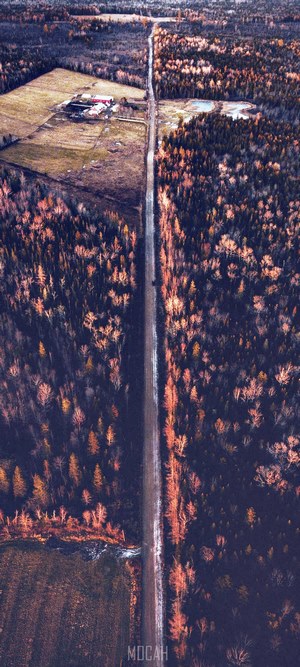 Aerial view of a road through a forest during sunset
