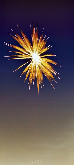 Fireworks exploding in the night sky