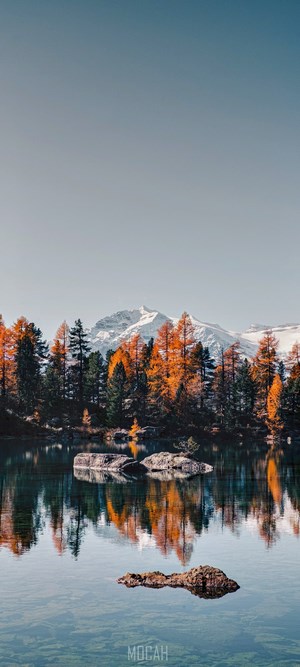 Lake reflection with autumn trees and snow-capped mountains