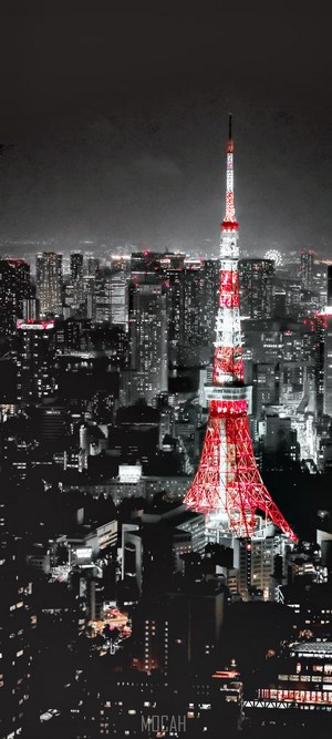 Tokyo Tower illuminated at night with cityscape