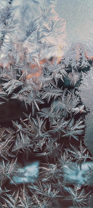Frost patterns on a window