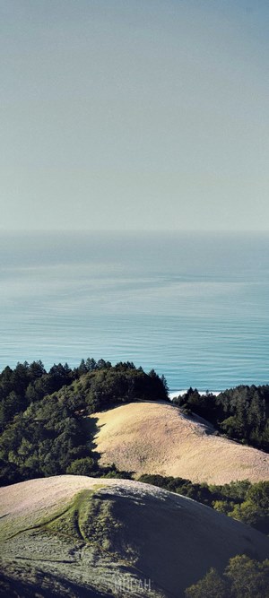 Wooded hills by the sea