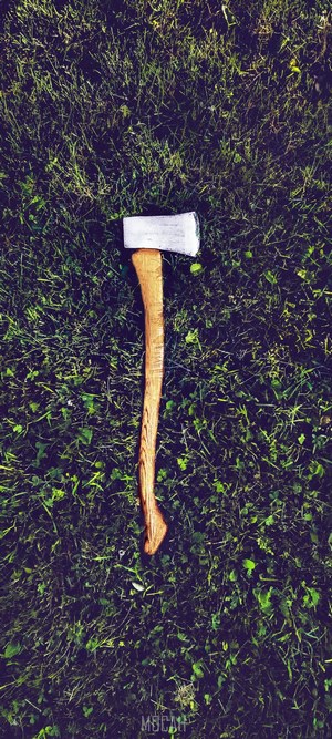 Axe with wooden handle on grass