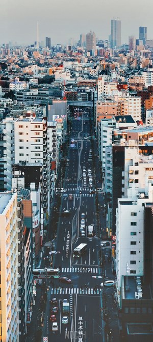 Tokyo City Street View at Dusk