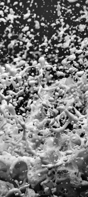 Water wave foam and sea