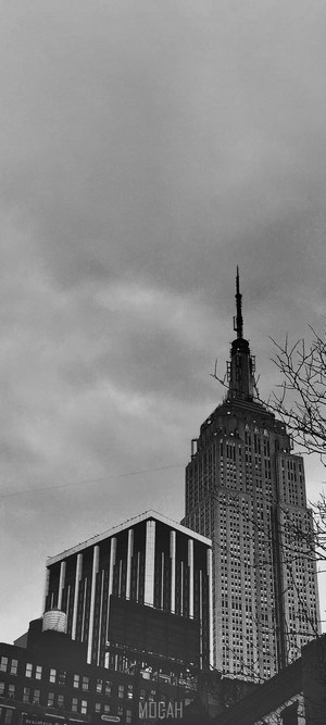 Empire State Building and surrounding buildings in NYC