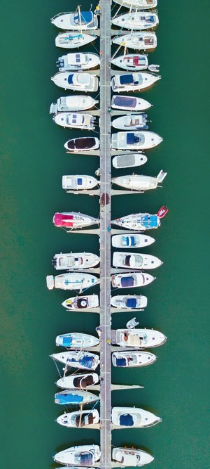 Boats docked in a marina