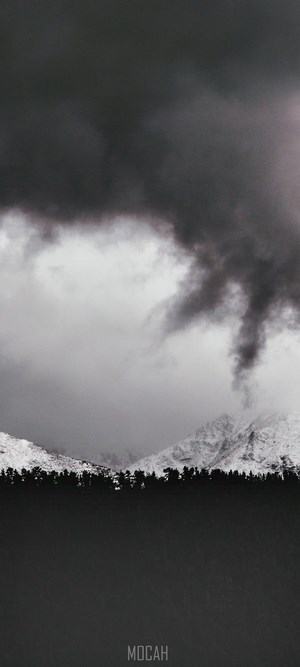 Snowy mountains behind a dark forest under stormy clouds