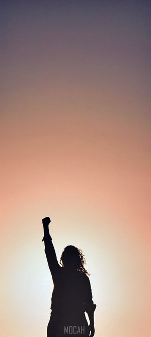 Silhouette of a person with raised fist against sunset