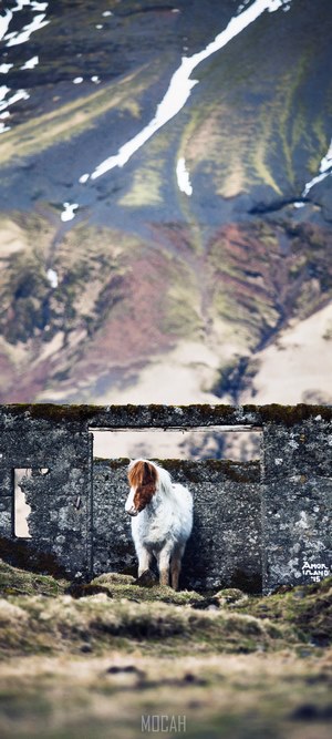 Horse in front of stone structure with mountains