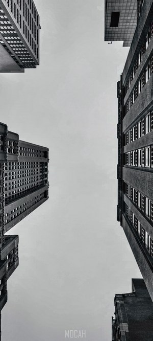 Looking up between tall buildings