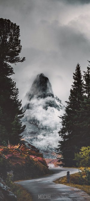Foggy Mountain Peak with Winding Road and Trees
