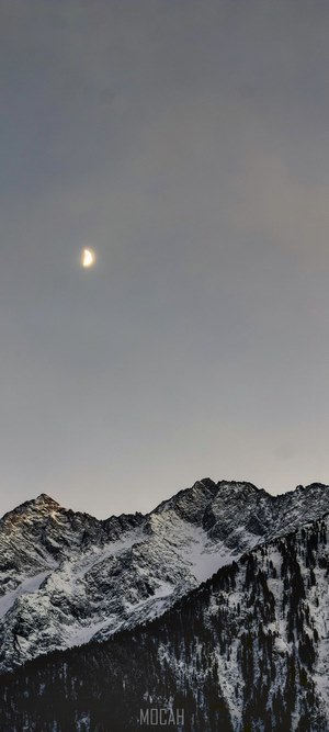 Moon over snow-covered mountains with pine trees