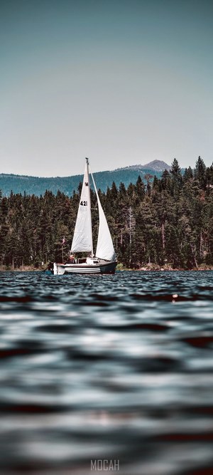 Sailboat on a lake with pine forest and mountains