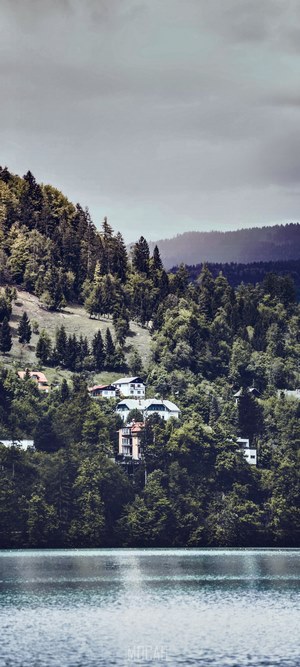 Lake Bled Houses Among Lush Green Forests