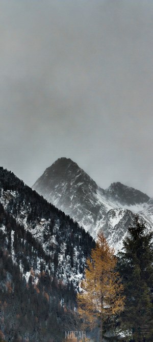 Snowy Mountain Peaks with Pine Trees Under Overcast Sky