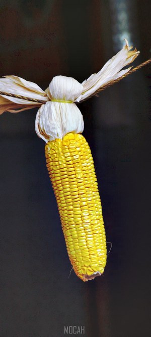 Corn doll with husk head and straw arms