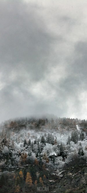 Mountain landscape with mist and fog