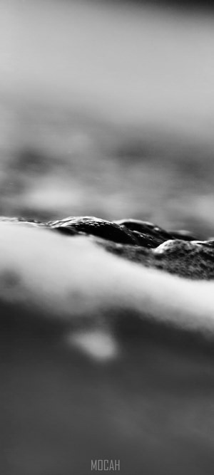 Black and white macro of water and bubbles