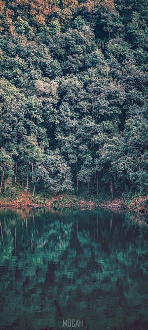 Trees reflected in Begnas Lake