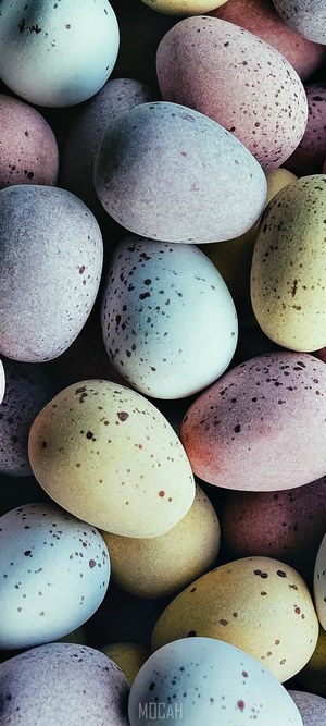 Close up macro shot of chocolate candy easter eggs