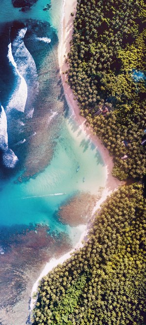 Aerial view of a tropical beach with palm trees and turquoise water