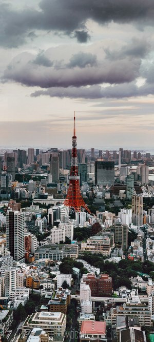 Tokyo Tower and cityscape under cloudy sky