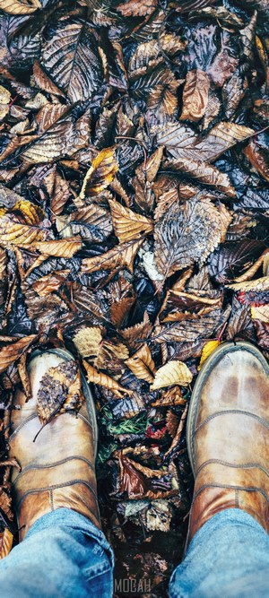 Person wearing jeans and boots on autumn leaves