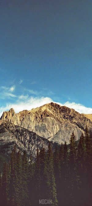 Mountain ridge above coniferous forest under blue sky