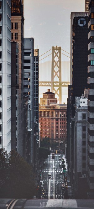 San Francisco Bay Bridge and Financial District