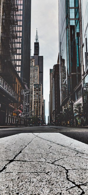 Chicago street with skyscrapers and Willis Tower
