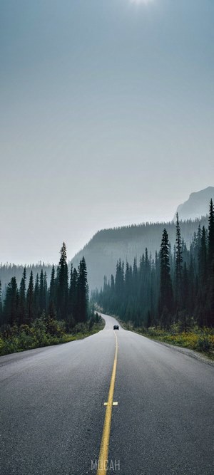 Car on a winding road through a misty forest