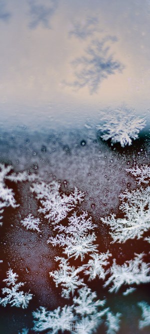 Close-up of frost patterns on a surface
