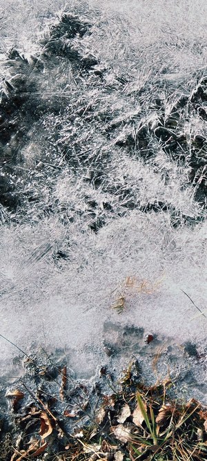 Frozen water with ice crystals and fallen leaves