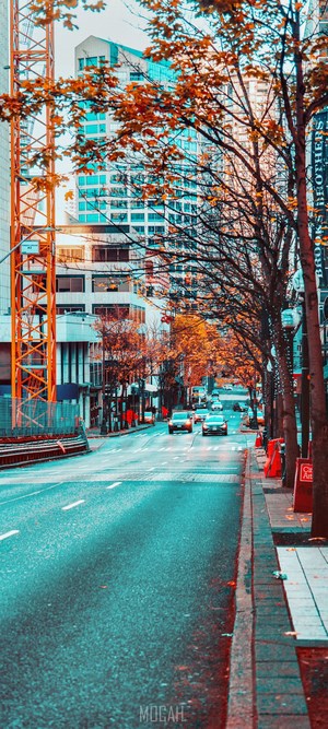 Street scene with autumn trees and buildings