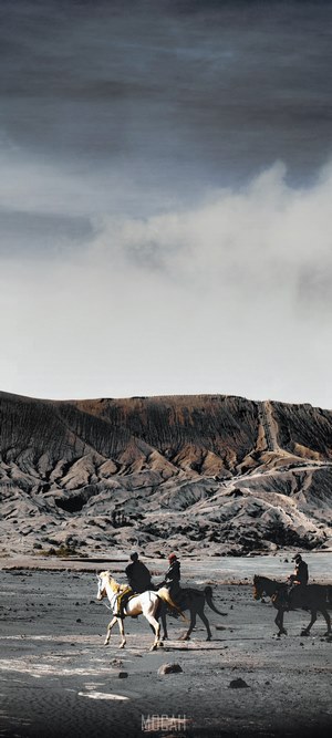 People riding horses in a desolate landscape