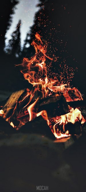 Campfire with sparks and smoke