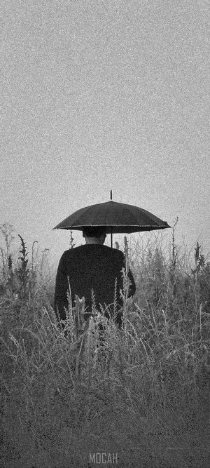 Man with umbrella in a field